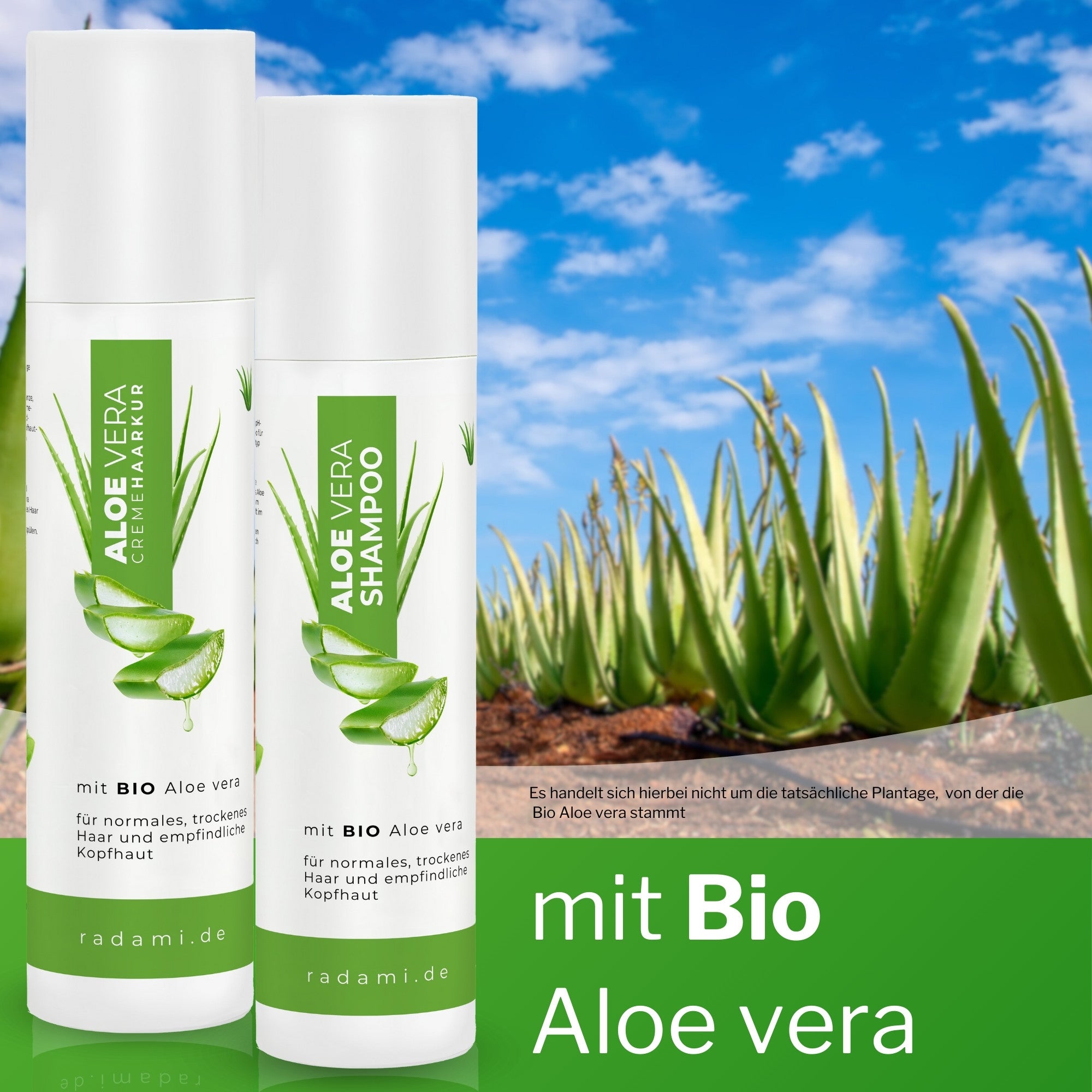 Aloe Vera Set Shampoo und Cremehaarkur Bio Aloe vera für trockenes Haar und empfindliche Kopfhaut jeweils 250 ml