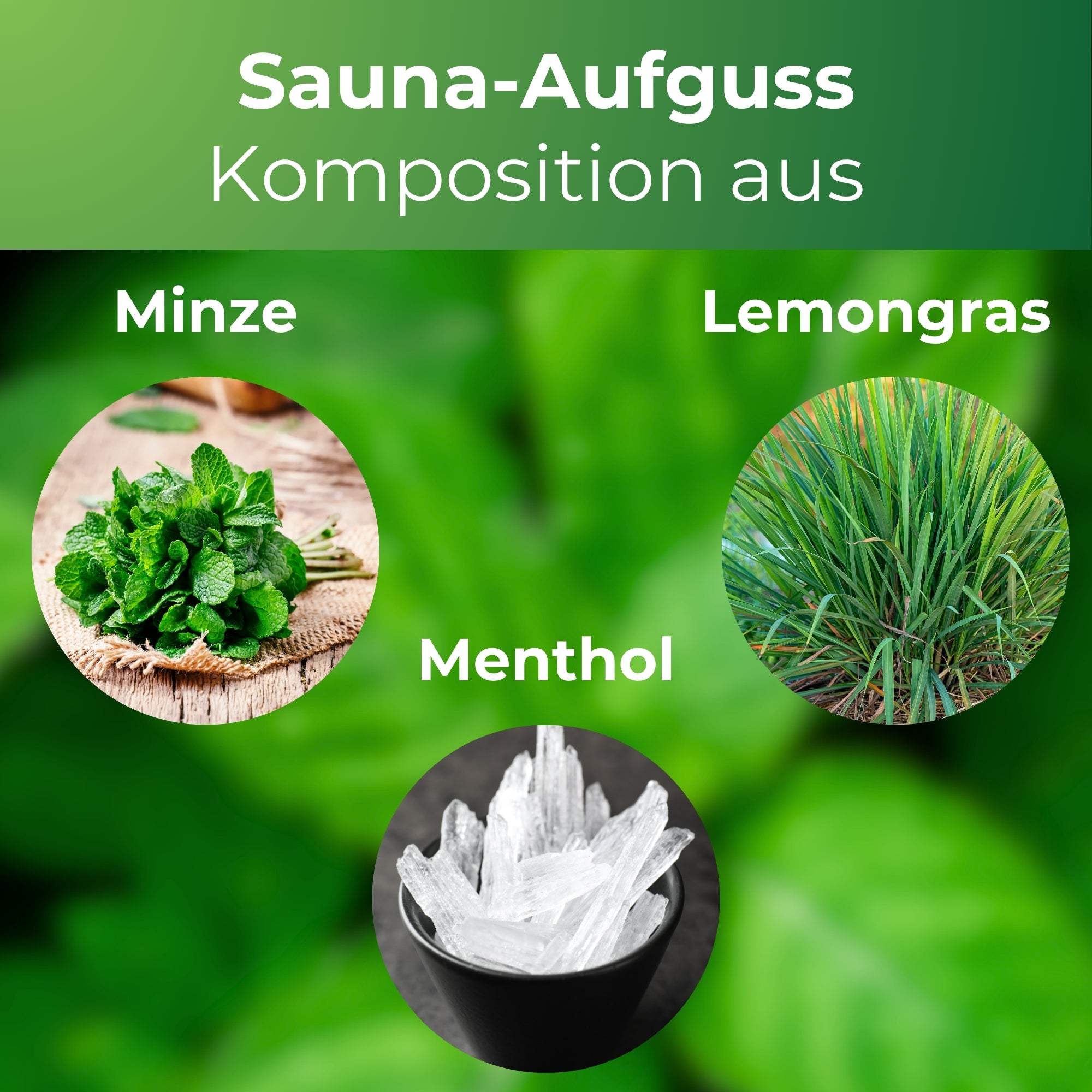 Saunaaufguss Sauna Aufguss Konzentrat Minze Lemongras Menthol 250ml